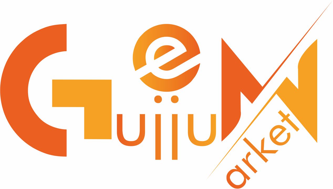 Electro Store Logo